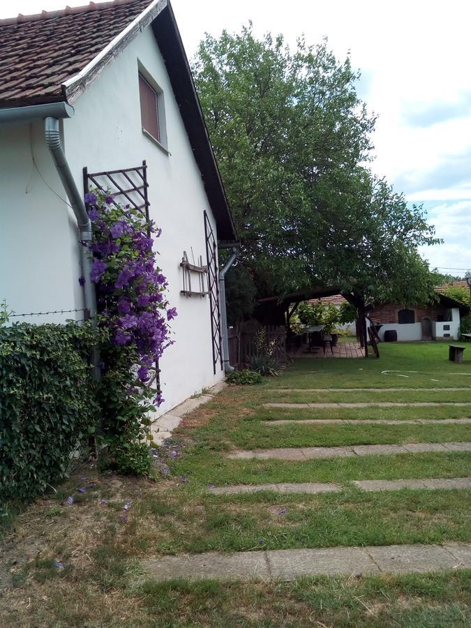 Kiad-Lak Apartmanok - Szep Kartya Elfogado Abadszalok Exterior foto